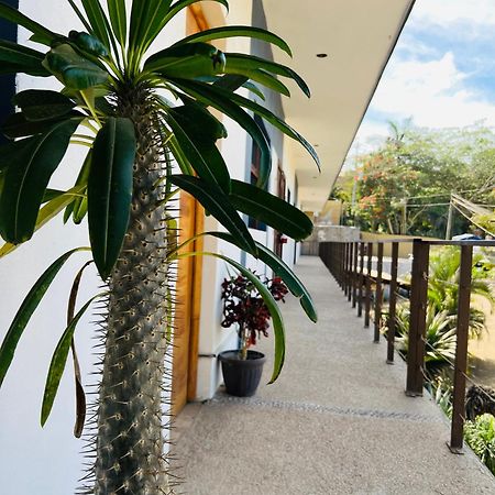 Hotel Samanu Sayulita Ngoại thất bức ảnh