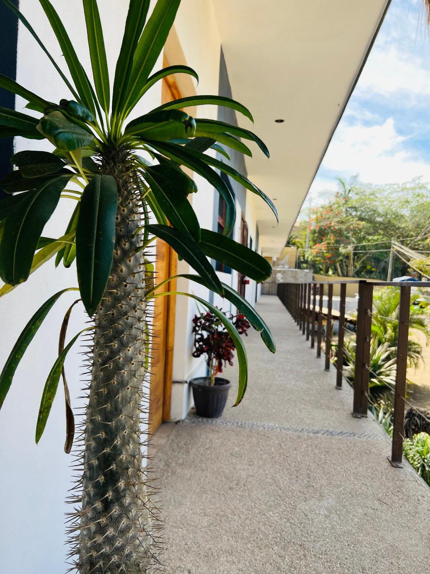 Hotel Samanu Sayulita Ngoại thất bức ảnh